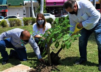 EN EL DÍA MUNDIAL DEL ÁRBOL, AYUNTAMIENTO DE TAPACHULA IMPULSA ACCIONES DE REFORESTACIÓN