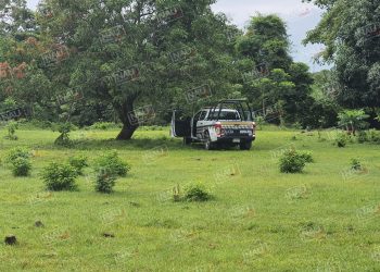 Señor de 65 años de ahorcó