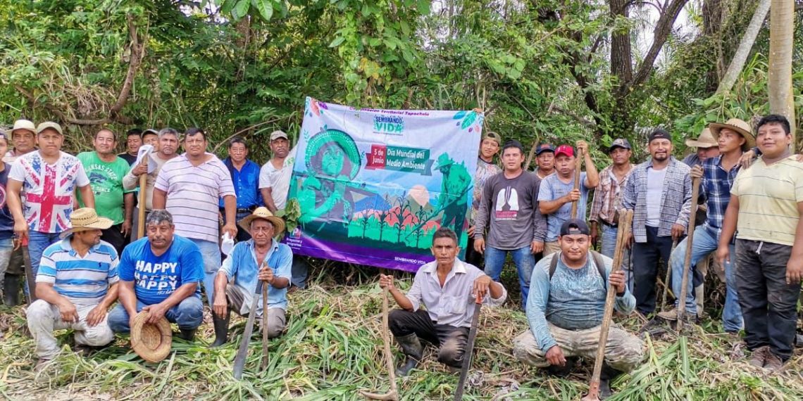 Siembran Más De 3 Mil Árboles Por Día Mundial Del Medio Ambiente 2021