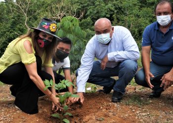 ENTREGA AYUNTAMIENTO DE TAPACHULA ÁRBOLES MADERABLES Y FRUTALES EN EL EJIDO 20 DE NOVIEMBRE