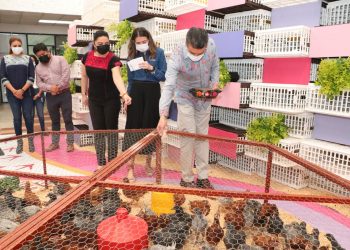 Beneficia Rutilio Escandón a 8 mil 750 mujeres con proyectos de producción de traspatio