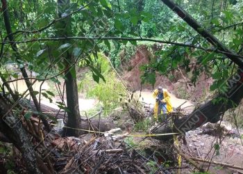 Localizan sin vida a persona reportada como desaparecida