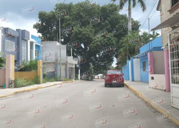 Delincuentes entran a robar a dos viviendas.