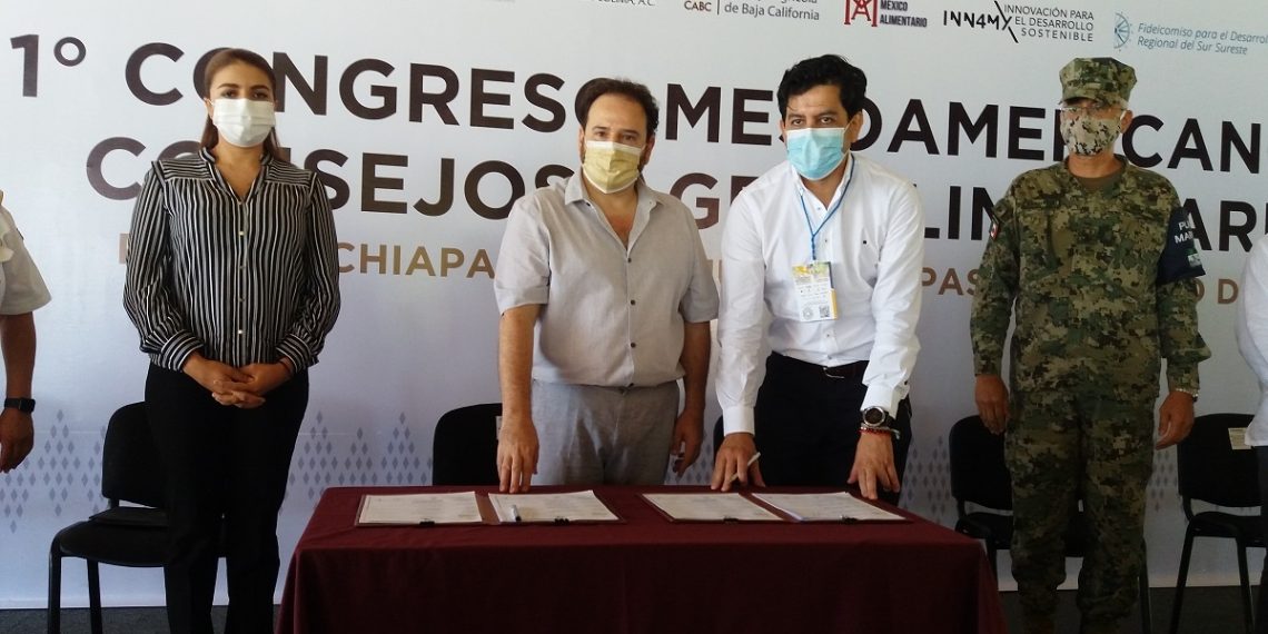 Firman Compromiso Para Impulsar Ruta De Cabotaje Puerto Chiapas-Manzanillo-Ensenada