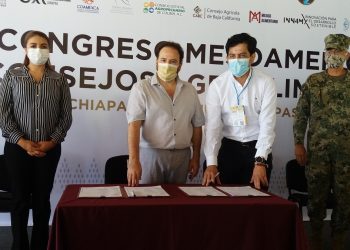Firman Compromiso Para Impulsar Ruta De Cabotaje Puerto Chiapas-Manzanillo-Ensenada
