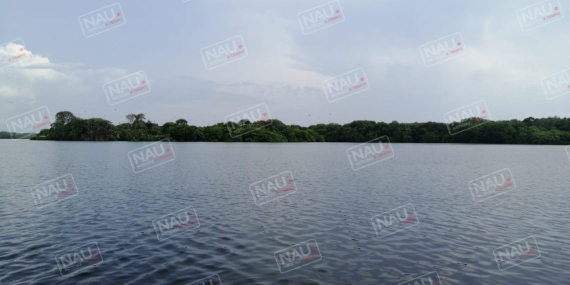 Localizan un cuerpo en la Pampa Cabildo de Puerto Madero