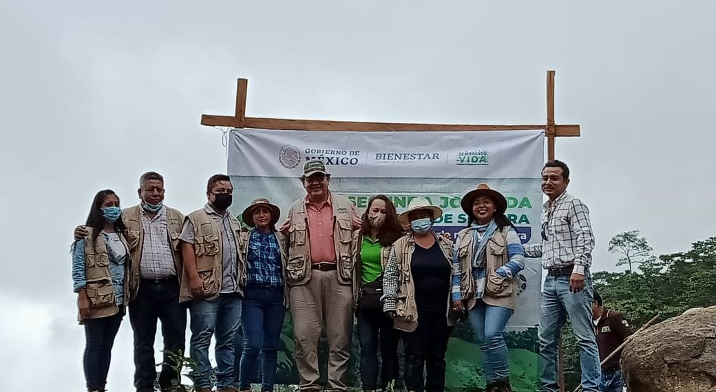 La “Suiza Chiapaneca”, Con Más De 300 Mil Árboles Sembrados