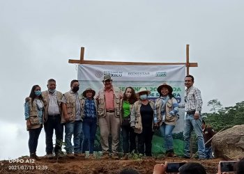 La “Suiza Chiapaneca”, Con Más De 300 Mil Árboles Sembrados