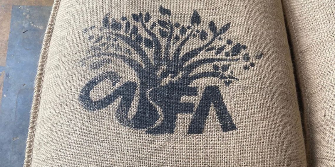 Envían Primer Embarque De Café Robusta Orgánico A Europa