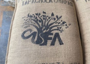 Envían Primer Embarque De Café Robusta Orgánico A Europa