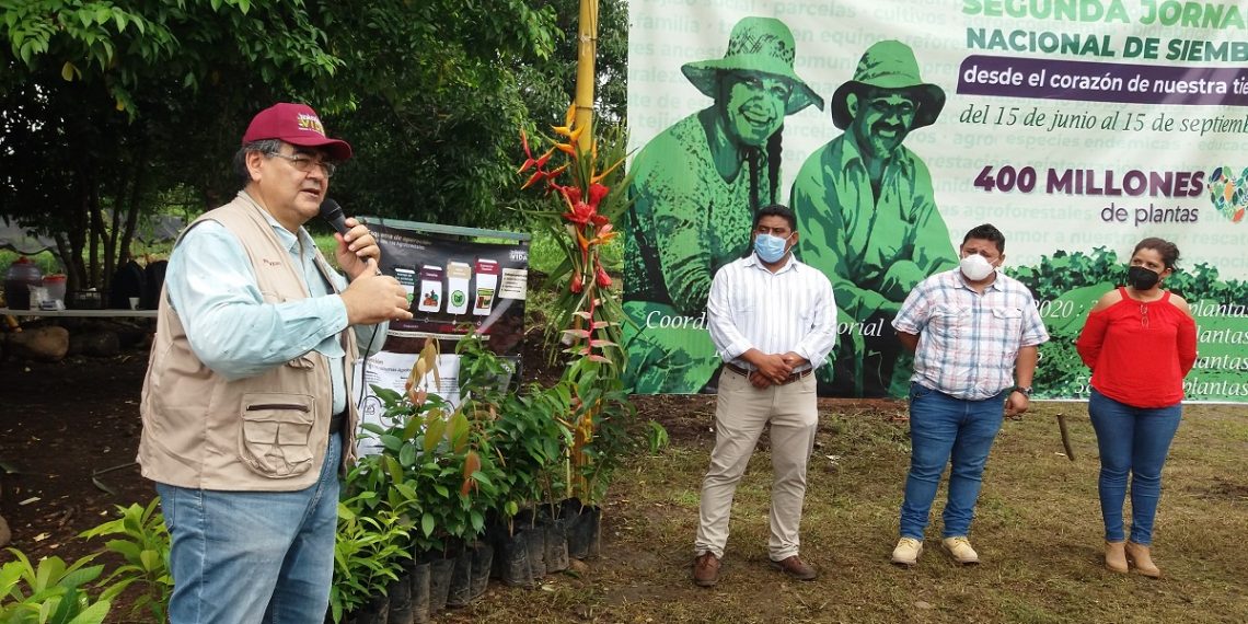 Buscan Recuperar La Cobertura Forestal E Incrementar Ingresos
