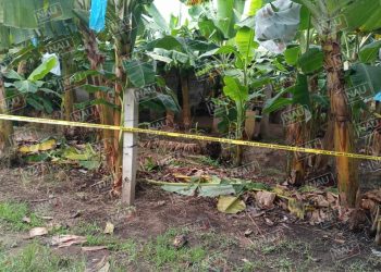 Asesinan con un objeto contundente a velador de rancho Bananero en SUCHIATE.