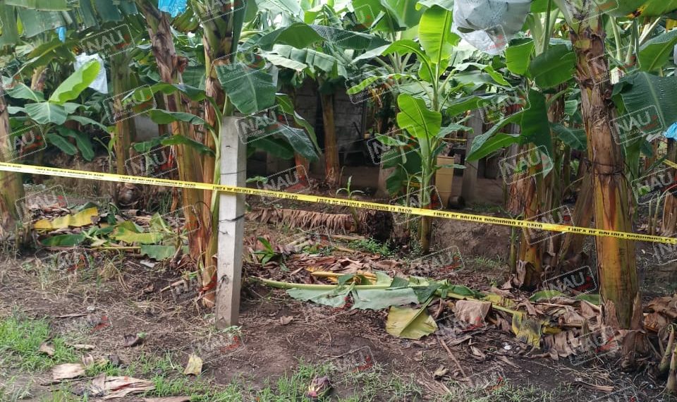 Asesinan con un objeto contundente a velador de rancho Bananero en SUCHIATE.