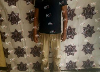 Golpeó a su esposa y fue detenido.