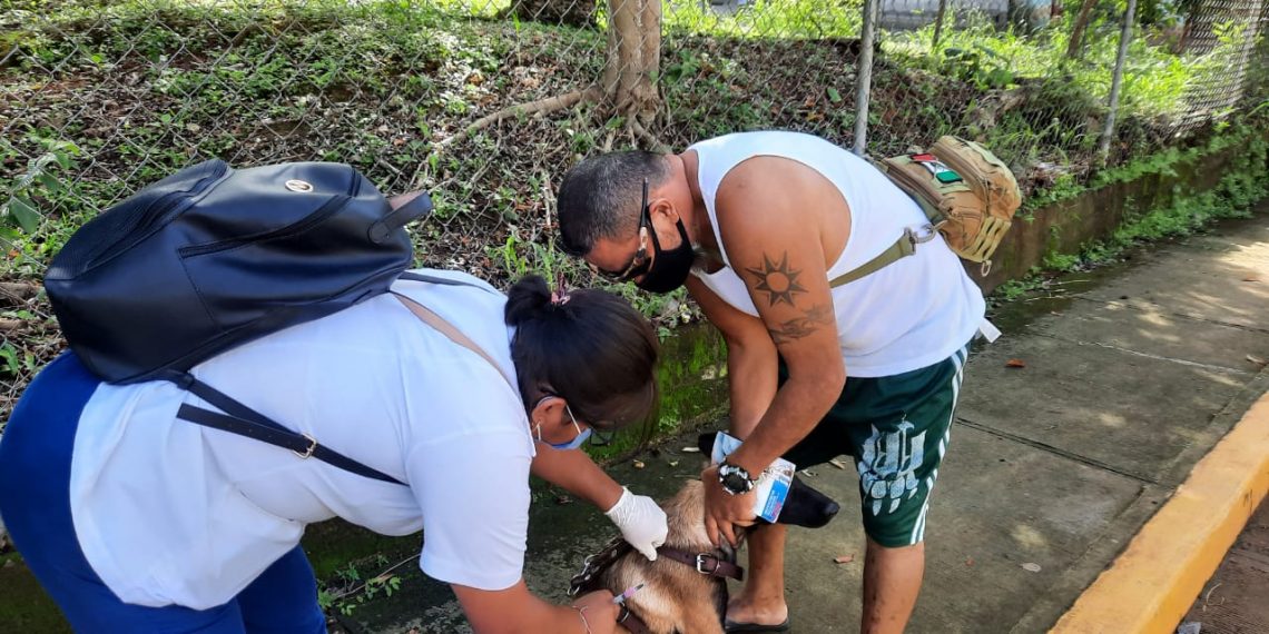 CONTINÚA JORNADA DE VACUNACIÓN ANTIRRÁBICA EN TAPACHULA