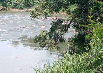 Sin encontrar el cuerpo que se llevó el Rio Cahoacán