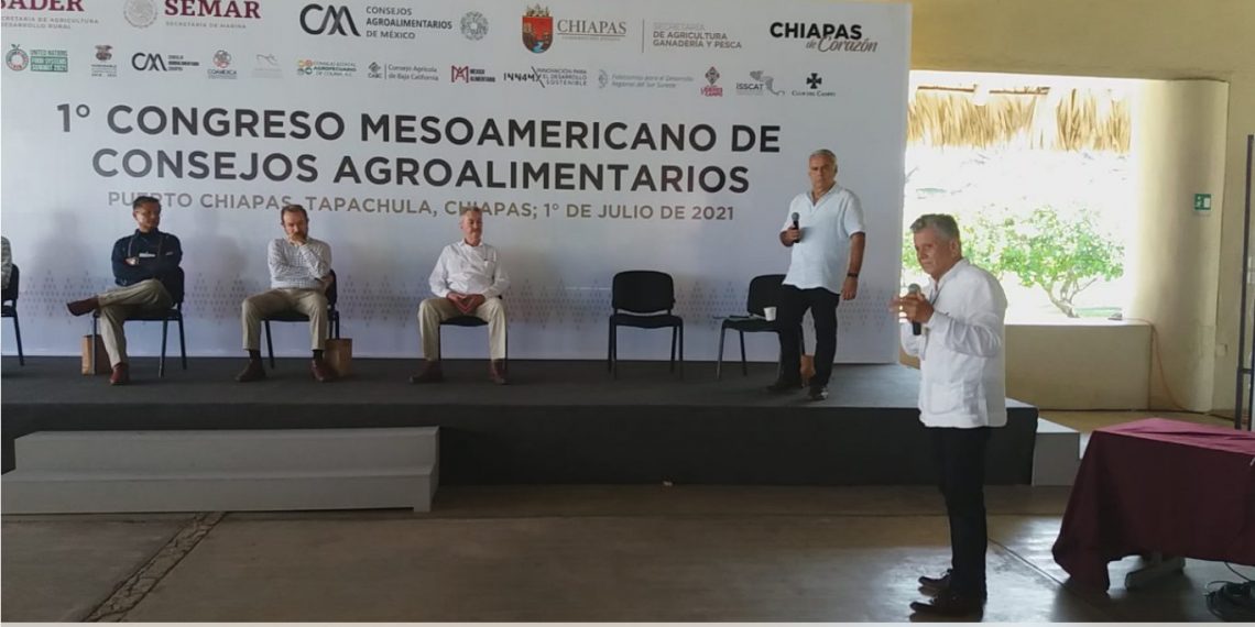 Existen Avances En Competitividad Logística En Chiapas