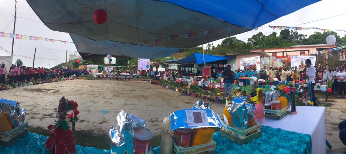 Realizan Exposición Cultural, Científica Y Demostrativa En Segunda Jornada Nacional De Siembra