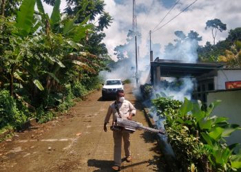 CONTINÚA COMBATE AL DENGUE, ZIKA Y CHIKUNGUNYA EN COLONIAS DE TAPACHULA