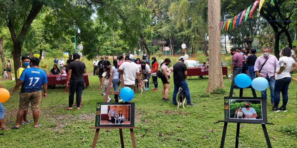 AYUNTAMIENTO DE TAPACHULA REALIZA FERIA DE ADOPCIONES DE MASCOTAS