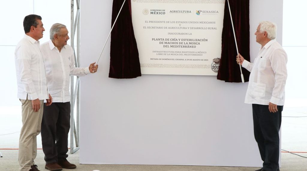 AMLO y Rutilio Escandón inauguran Planta de Cría y Esterilización de Machos de Mosca del Mediterráneo