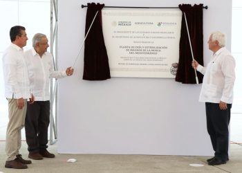 AMLO y Rutilio Escandón inauguran Planta de Cría y Esterilización de Machos de Mosca del Mediterráneo