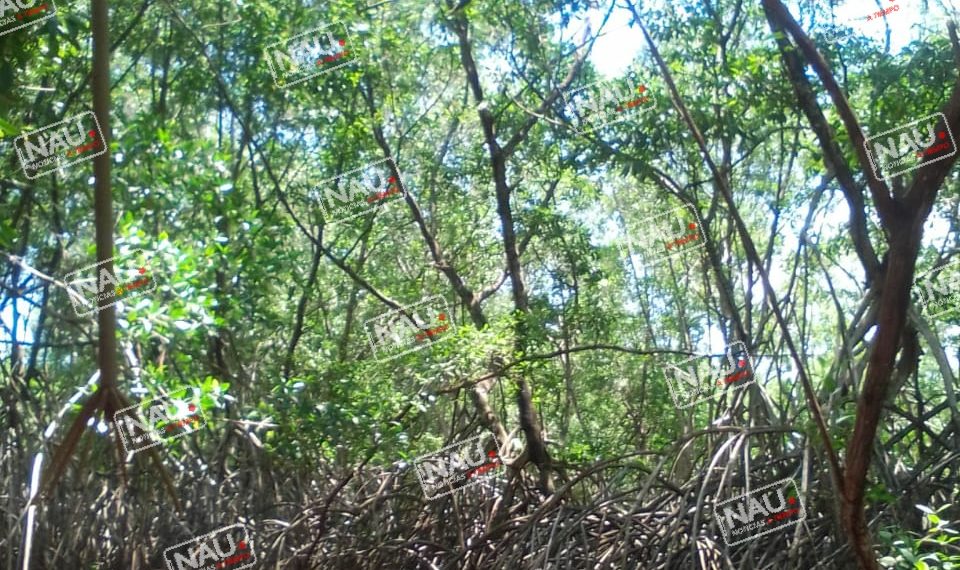 Desde hace 5 días se quitó la vida un pescador en Puerto Madero.