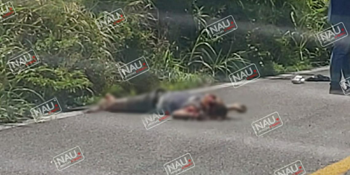 Muere motociclista al ser atropellado por un camión Torton.