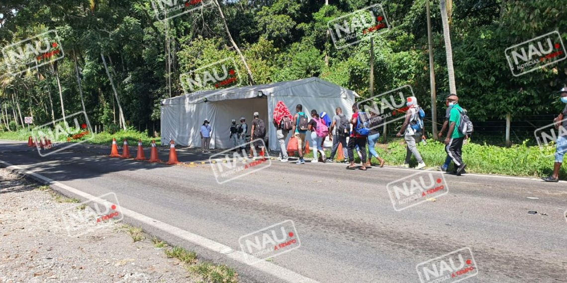 Violan derechos de migrantes haitianos.