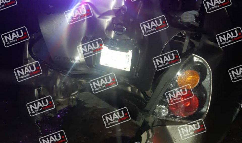 Chocó contra un árbol.