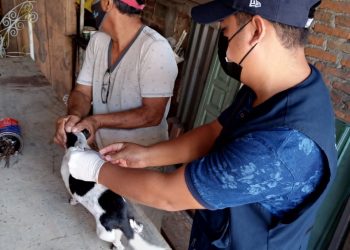 INICIA NUEVA JORNADA DE VACUNACIÓN ANTIRRÁBICA EN TAPACHULA