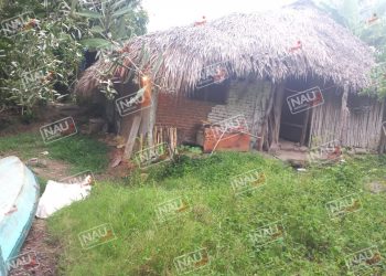 Muere señor de 70 años cerca de su casa