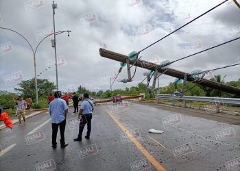 Fuertes vientos ocasionan estragos en Puerto Madero