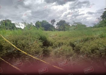 Muere una persona al ahogarse en el río Cahoacán