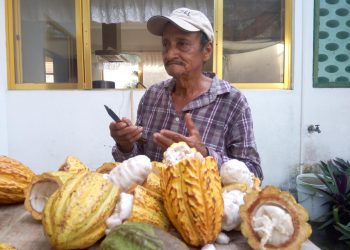 Consumo De Cacao En México Y El Mundo Está Degradado