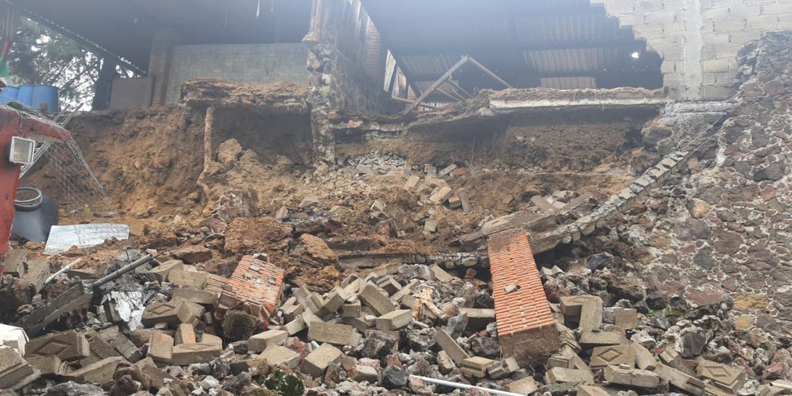 Se registra derrumbe sobre refugio de perros en la Colonia Xochimilco, CD-MX.