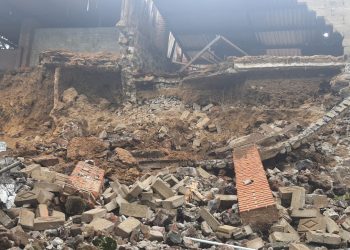 Se registra derrumbe sobre refugio de perros en la Colonia Xochimilco, CD-MX.