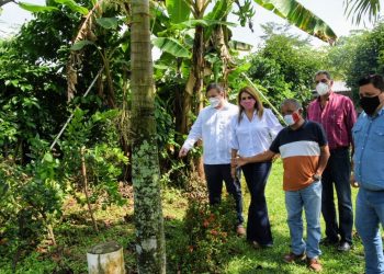 IMPULSAN CERTIFICACIÓN ORGÁNICA PARA PRODUCTORES DE TAPACHULA