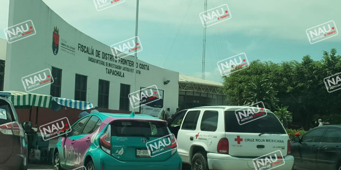 En 8 meses se reciben 648 denuncias por violencia familiar: Elsa Simón Ortega.