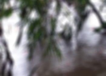 Localizan a una persona sin vida en Suchiate