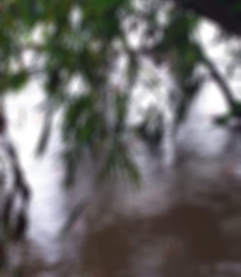 Localizan a una persona sin vida en Suchiate