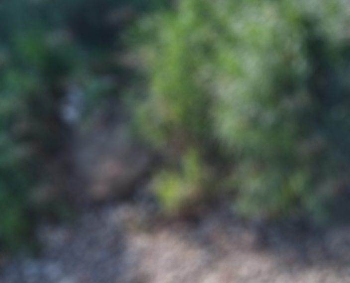 Asesinan a dos personas a balazos en Escuintla