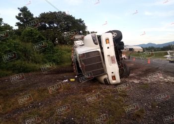 Tráiler cargado con varias toneladas de aguacate termina volcado