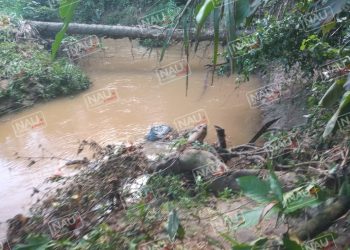 Dos detenidos que son investigados por Homicidio