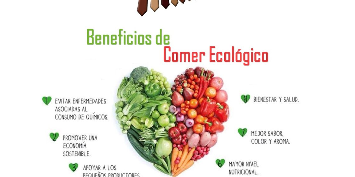 Sembradores Invitan Al Mercado Ecológico “La Marimba”