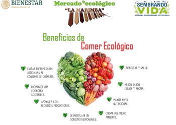 Sembradores Invitan Al Mercado Ecológico “La Marimba”