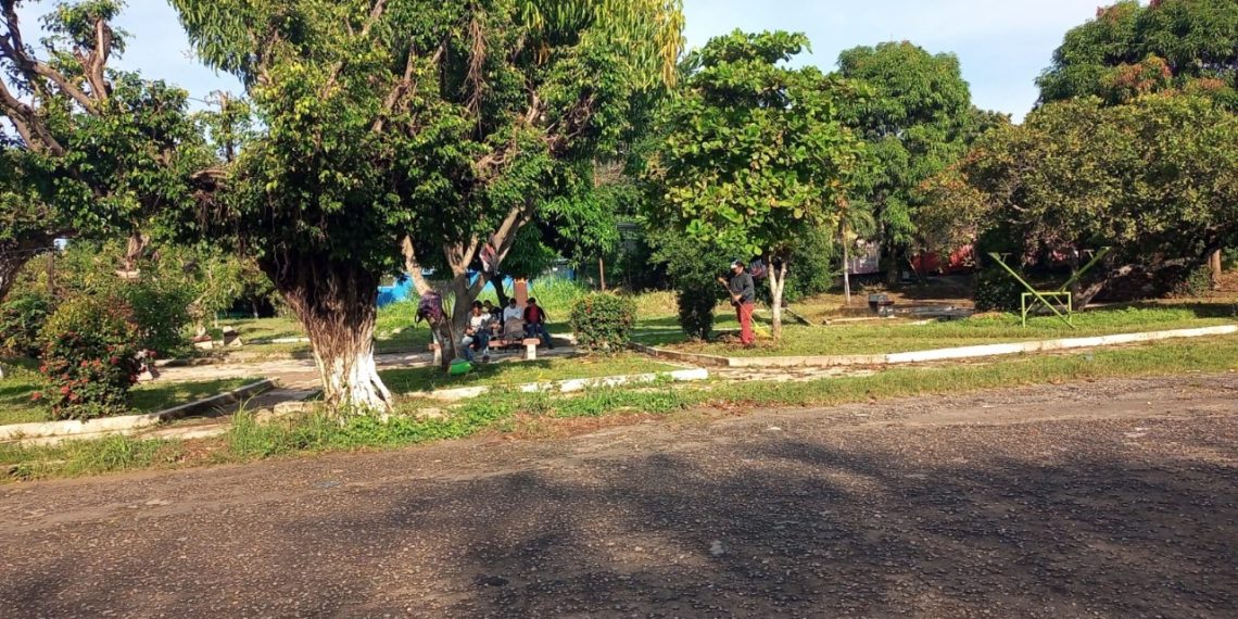 RESCATAN ESPACIOS PÚBLICOS Y ALUMBRADO EN FRACCIONAMIENTO FRAMBOYANES