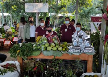 Continúan Ingresando Alimentos Regados Con Aguas Negras Y Abonados Con Pesticidas