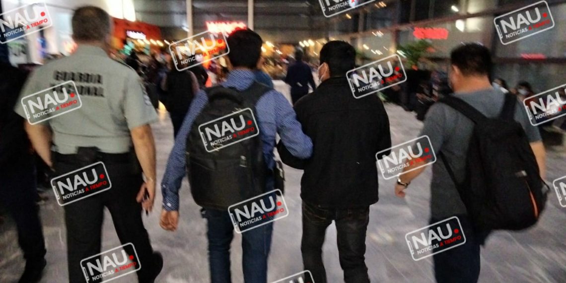 Detienen al peludo en Tijuana.