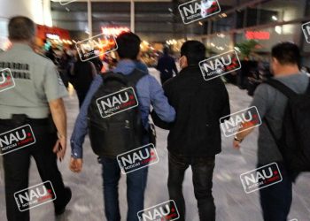 Detienen al peludo en Tijuana.